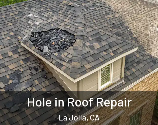  Hole in Roof Repair La Jolla, CA