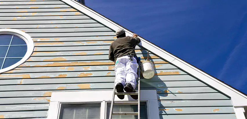 Professional Roof and Siding Repair Services in La Jolla, CA