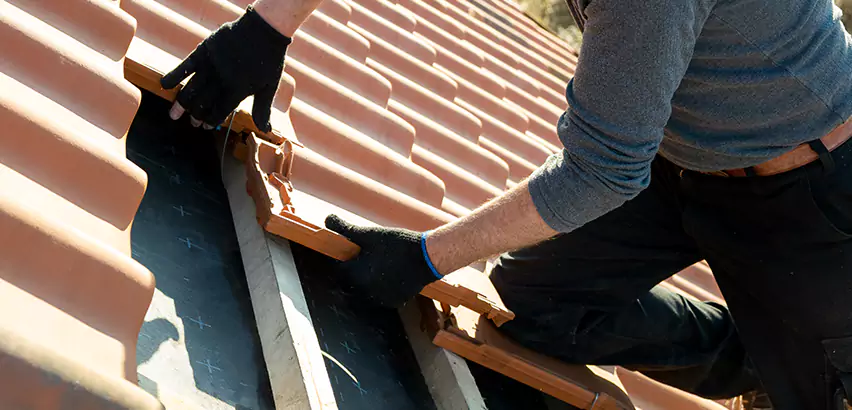 Professional Tile Roof Restoration Services in La Jolla, CA