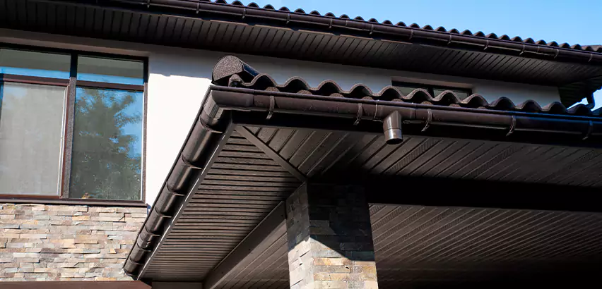 Soffit Damage Repair in La Jolla
