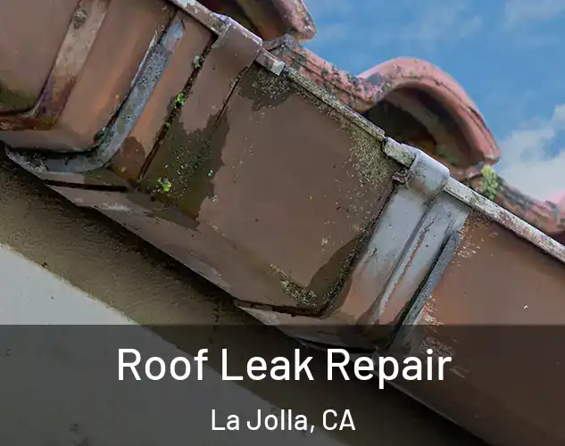  Roof Leak Repair La Jolla, CA