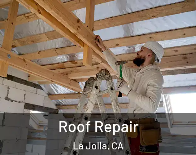  Roof Repair La Jolla, CA